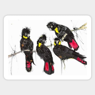 Bushfire black cockatoos Sticker